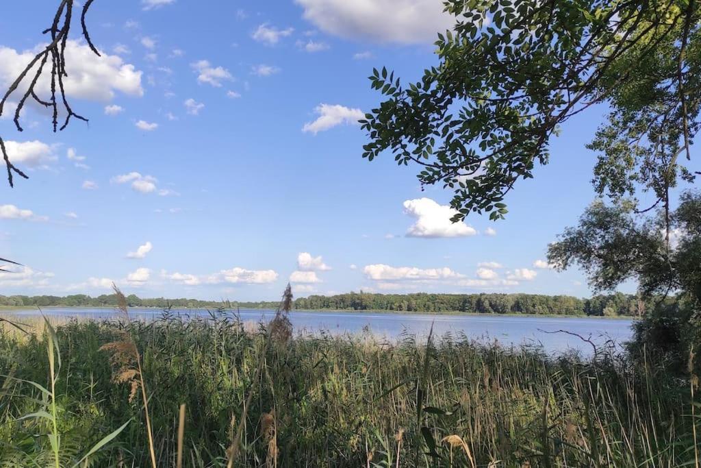 Storchennest - Ferienwohnung Am Storchenradweg Ketzur Екстер'єр фото
