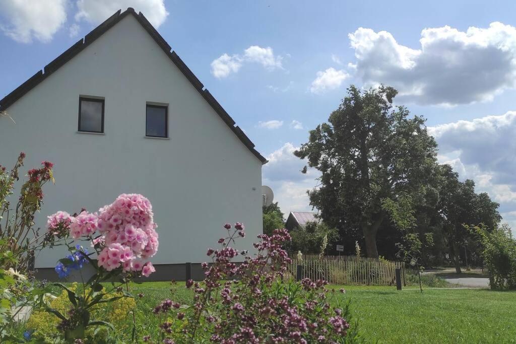 Storchennest - Ferienwohnung Am Storchenradweg Ketzur Екстер'єр фото
