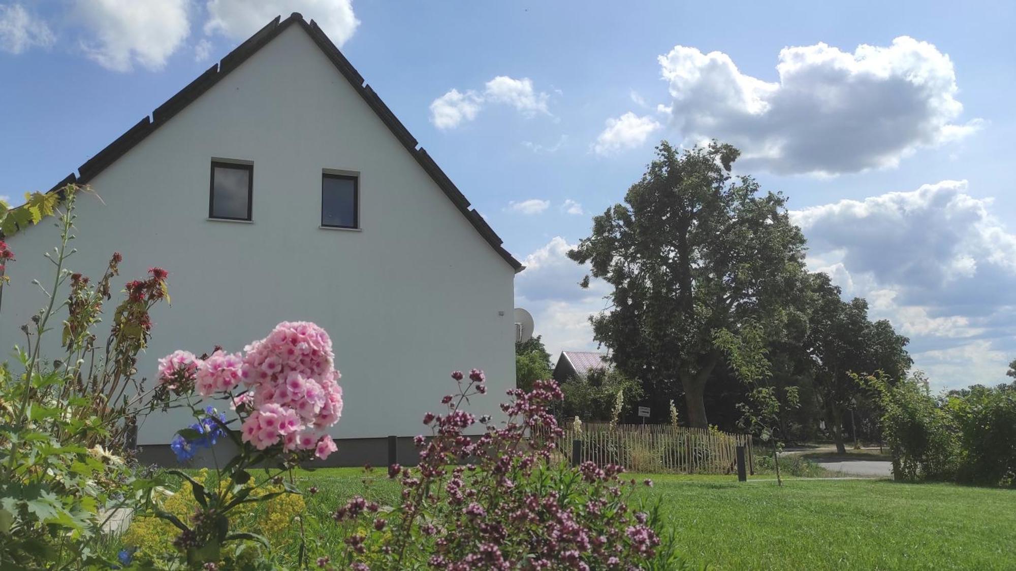Storchennest - Ferienwohnung Am Storchenradweg Ketzur Екстер'єр фото