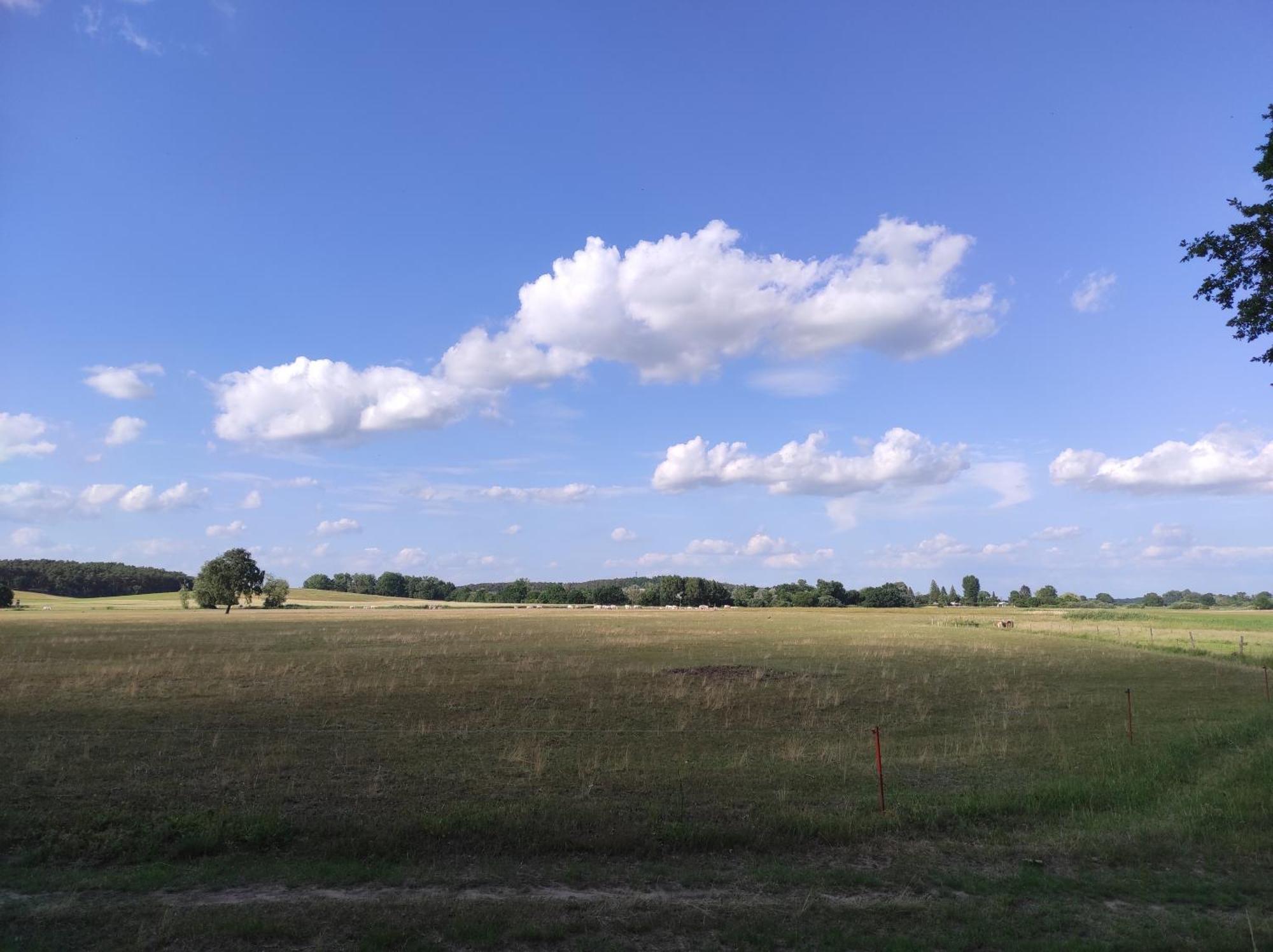 Storchennest - Ferienwohnung Am Storchenradweg Ketzur Екстер'єр фото