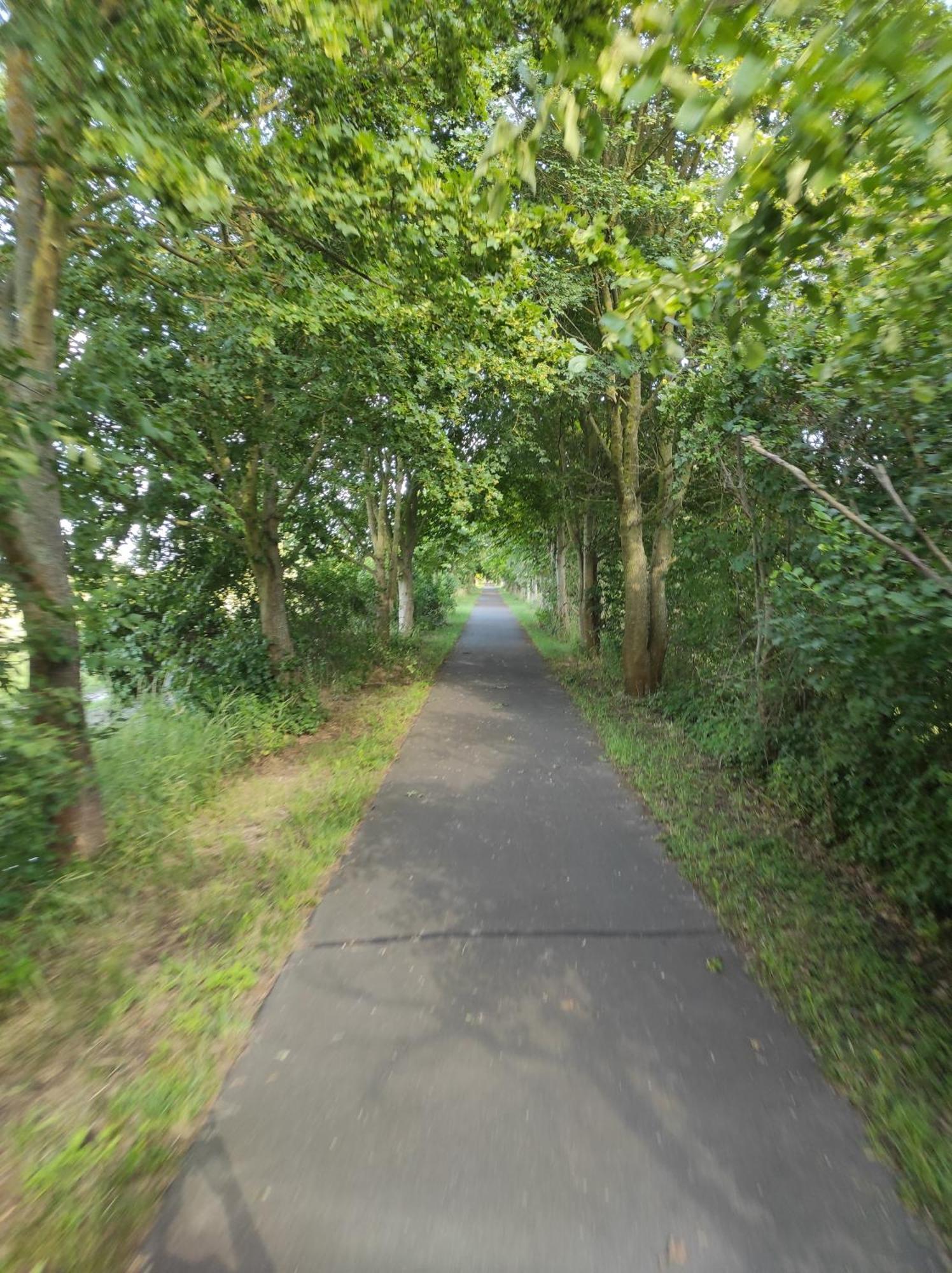 Storchennest - Ferienwohnung Am Storchenradweg Ketzur Екстер'єр фото